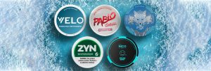 nicotine pouches brands 2025